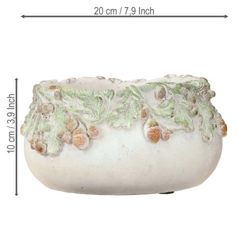 kohteita Koristeellinen kulho, valettua kiveä, tammenterhoista tehty istutusastia, Ø20cm, korkeus 10cm