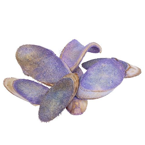 Floristik24 Koristeelliset viipaleet vaalean violetti 300g