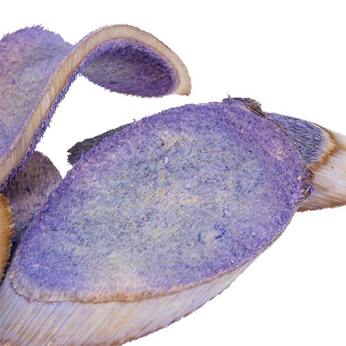 Floristik24 Koristeelliset viipaleet vaalean violetti 300g