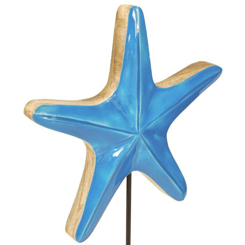 kohteita Koristeellinen meritähti pohjapuulla luonnonsininen Ø22cm K32cm