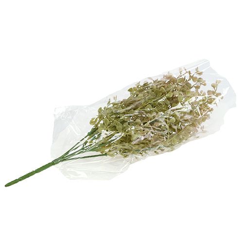 Floristik24 Koristeellinen haara vaaleanvihreä 35cm