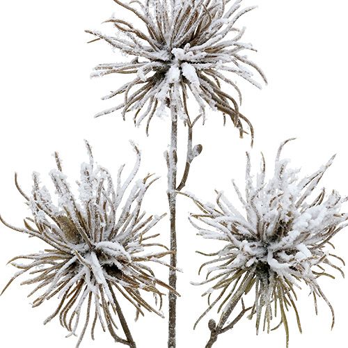 Koristeoksa lumella 45cm 3kpl | Floristik24.fi