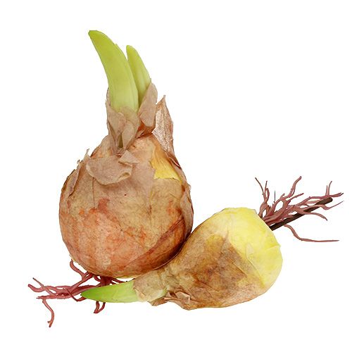 Koristeellinen sipulilamppu 7-10cm 9kpl