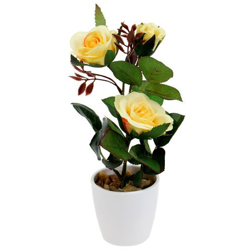 Floristik24 Koristeellinen ruusu keltaisessa ruukussa 23cm