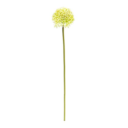 Floristik24 Deco allium kerma Ø6,5cm L39cm