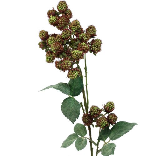 kohteita Koristeellinen mulperipuun oksa, marjan oksa, vihreä mulperipuun oksa 78cm