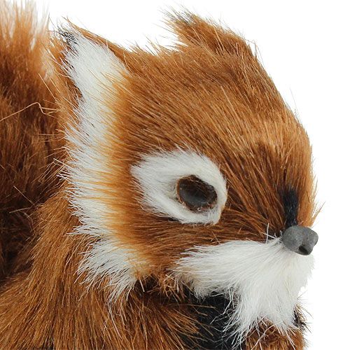 Floristik24 Koristeellinen orava ruskea 8,5 cm