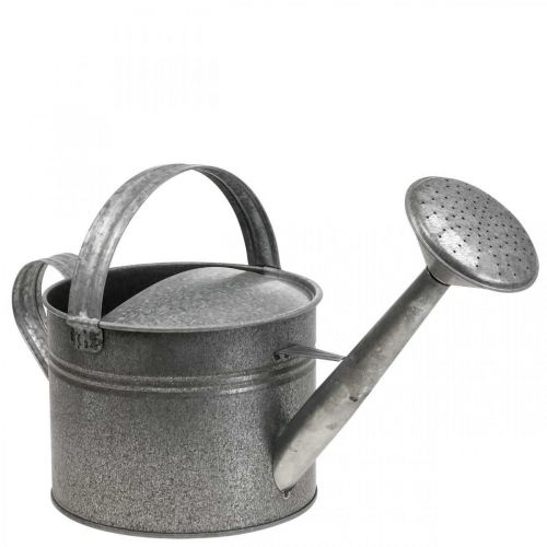 Koristeellinen kastelukannu sinkki istutuskannulle H27cm