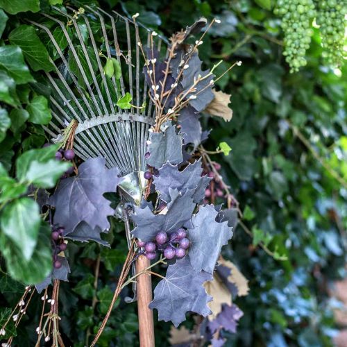 Deco Garland Viiniköynnöksen lehdet ja viinirypäleet syksyllä Garland 180cm