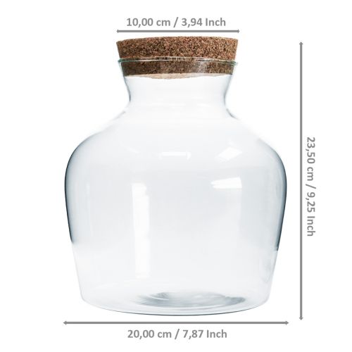 Floristik24 Koristelasi korkilla Koristemaljakko kirkas sipuli Ø20cm H21cm