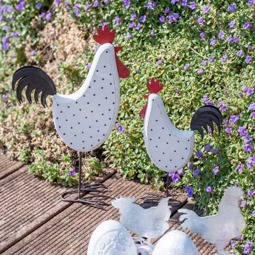 Floristik24 Koristeellinen kukonpuinen pilkullinen valkoinen koristefiguuri pääsiäinen H21cm 2kpl