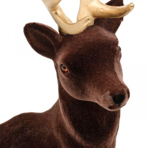 Floristik24 Deco deer iso ruskea kulta koristefiguuri Christmas 40cm