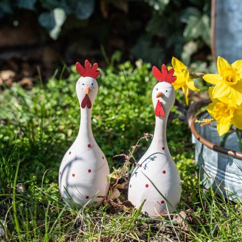 Floristik24 Koristeellinen kananpuu valkoinen pilkullinen pääsiäisfiguuri Ø7cm K20cm