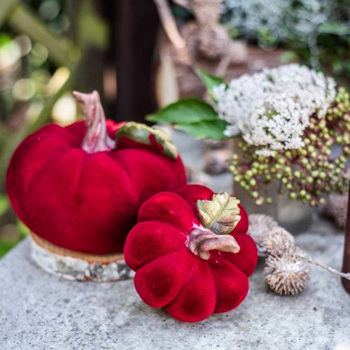 Floristik24 Deco kurpitsanpunainen pöytäkoristelu syksy polyresin 10,5×9cm 2kpl