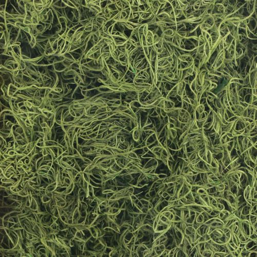 kohteita Koristeellinen sammalkuivattu metsänvihreä luonnonkoristelu 300g