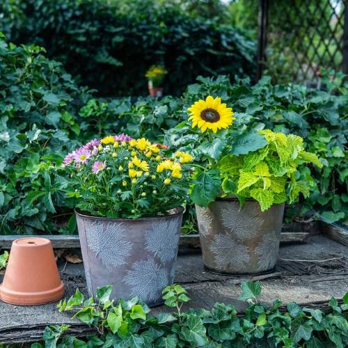 Floristik24 Koristeellinen ruukku lehtiä sinkki metalliharmaa, oranssi, ruskea Ø26cmH22cm 3kpl