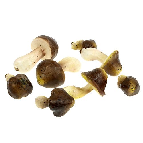 Floristik24 Koristeelliset sienet, 5-8 cm: n kokoinen valikoima ruskea 8kpl