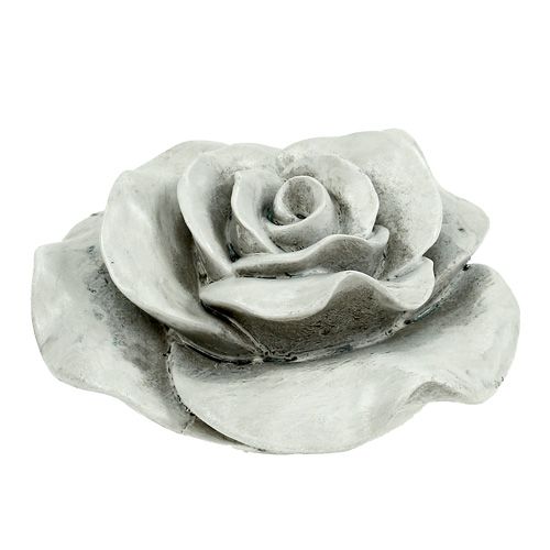 Floristik24 Koristeellinen ruusuharmaa 13cm