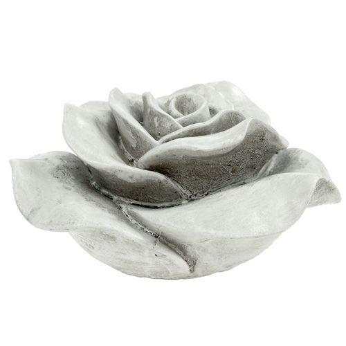 Floristik24 Koristeellinen ruusuharmaa 13cm