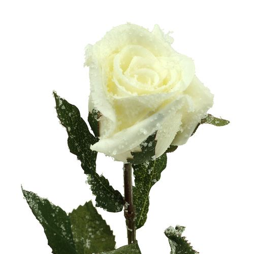 kohteita Koristeellinen ruusu valkoinen lumipeite Ø6cm 6kpl