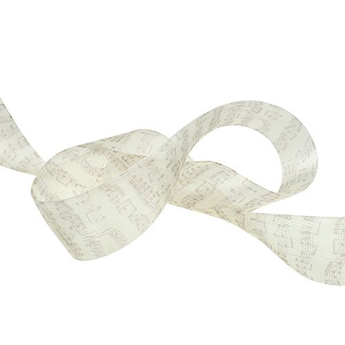 Floristik24 Koristeelliset nauhat 40mm 20m