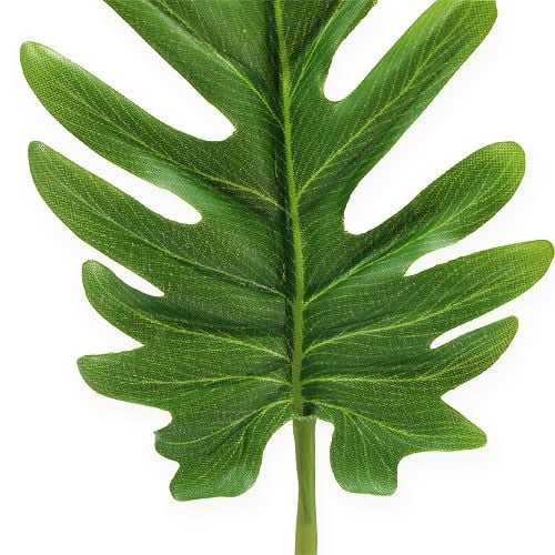 Koristeelliset lehdet Philodendron green W11cm L34cm 6kpl