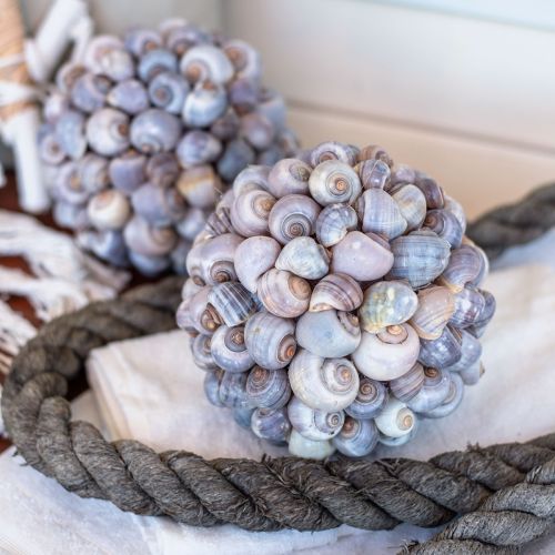 kohteita Koristeellinen pallo merikotiloita simpukankuoripallo luonnonkoriste merellinen Ø19cm