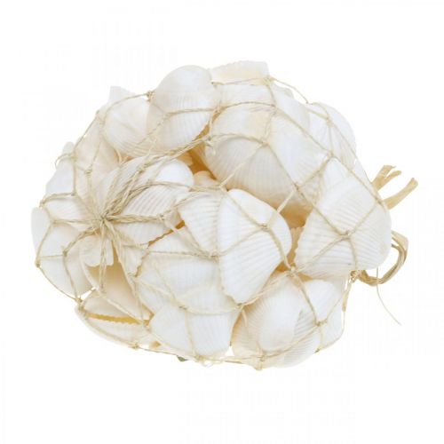 kohteita Deco Shell White Real kuoret raffia netissä deco maritime 400g