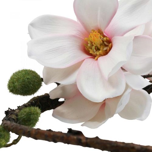 Floristik24 Koristesormus keinotekoinen magnoliajousikoriste ripustettavaksi Ø24cm