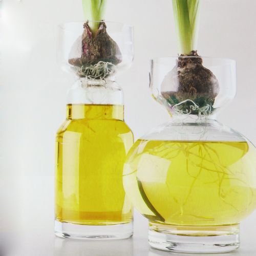 Floristik24 Koristeellinen vesikeltainen 150ml