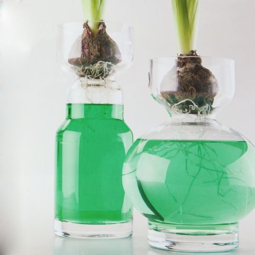 Floristik24 Koristeellinen vesi vihreä 150ml