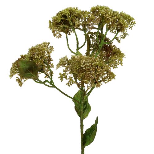 Koristeellinen oksa sedum kasvi vihreä 58cm