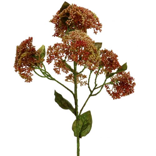 Floristik24 Koristeellinen oksa sedum Bordeaux, keltainen 58cm