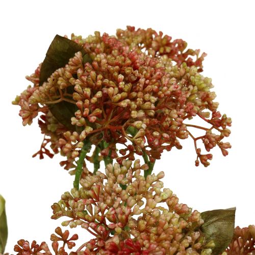 kohteita Koristeellinen oksa sedum Bordeaux, keltainen 58cm