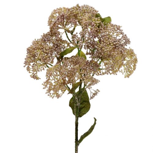 Floristik24 Koristeellinen haara sedum vaaleanpunainen 58cm