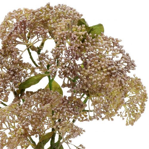 kohteita Koristeellinen haara sedum vaaleanpunainen 58cm