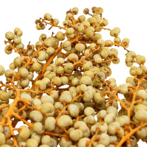 Floristik24 Koristeoksat marjat kuivattu hamppupalmupalmu Uva natural 1kg
