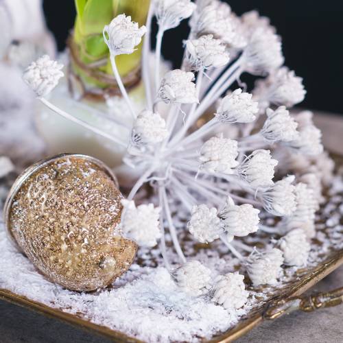 Floristik24 Koristeellinen haarukka fenkolin infruktuuri valkoinen vahattu H22cm