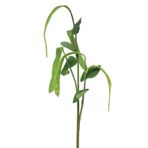 Floristik24 Koristeoksa pavunoksa keinokasvinvihreä 95cm