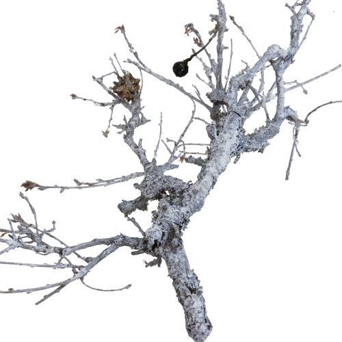 Deco oksat bonsai puu deco oksat pesty valkoinen 800g
