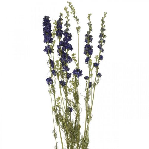 kohteita Kuivattu delphinium, kuiva kukkakauppa, delphinium blue L64cm 25g