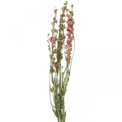Floristik24 Kuivakukka delphinium, Delphinium pink, kuiva kukka L64cm 25g