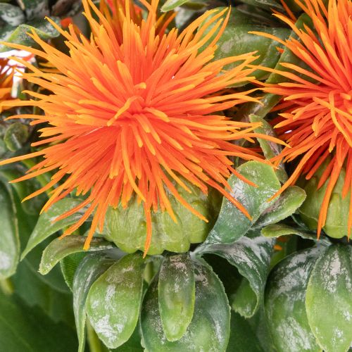 Keinotekoinen oranssi saflori tekokukkana maljakoihin ja koristeeksi, 55 cm, 4 kpl | Floristik24.fi