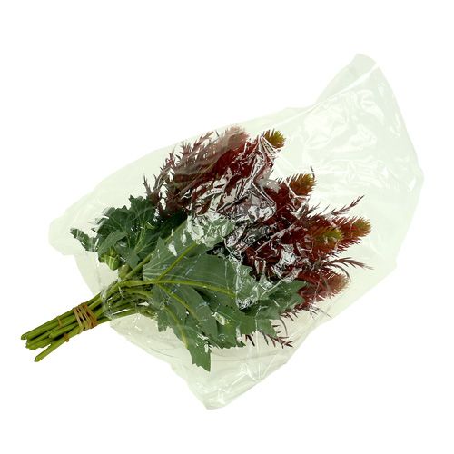 Floristik24 Ohdake puna-vihreä 20cm 12kpl