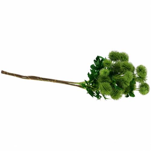 Floristik24 Ohdake silkkikukka vihreä 56cm 3kpl