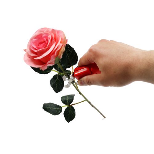 Floristik24 Ruusunpoistaja