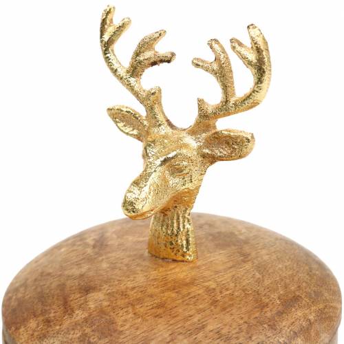 Floristik24 Laatikko mangopuuta, peurapää kultainen Ø10cm K15cm