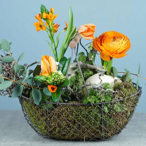 Floristik24 Lankakori kahvalla ruskea metalli 20/25 / 30cm 3 kpl