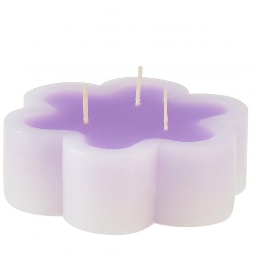 Kolmilankainen kynttilä kukkakynttilänä violetti valkoinen Ø11,5cm H4cm