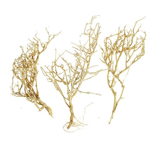 kohteita Dry Tree 500g valkaistu